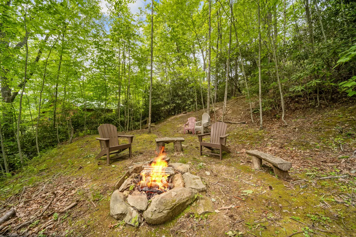 This scene centers on a welcoming campfire area with Adirondack chairs arranged for storytelling and shared experiences, surrounded by tall trees for a cozy, communal vibe.