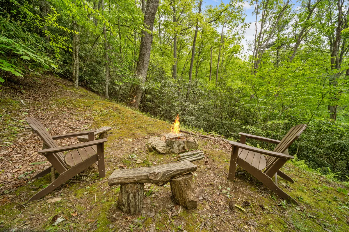 A fire pit surrounded by wooden chairs set amid tall trees, providing a cozy, natural gathering space. The area exudes the feeling of family campfire nights, with an inviting setting perfect for evening storytelling and marshmallow roasting.
